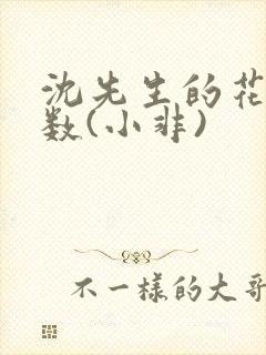 沈先生的花式调数(小非)