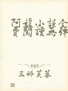 阿媛小说全文免费阅读无弹窗笔趣阁