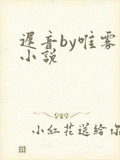 迟音by唯雾的小说