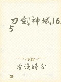 刀剑神域16.5