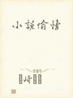 小说偷情