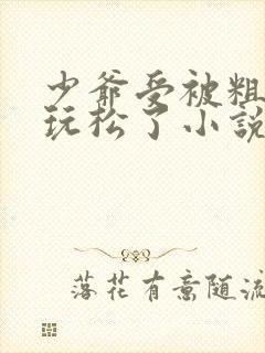 少爷受被粗汉H玩松了小说