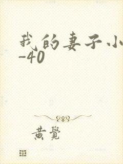 我的妻子小谨1-40
