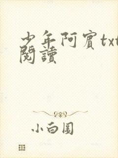 少年阿宾txt阅读