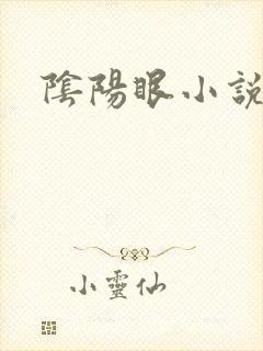 阴阳眼小说