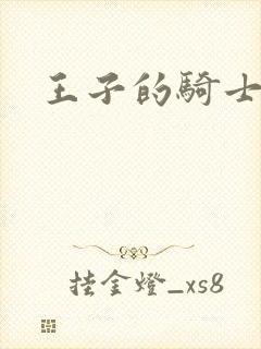王子的骑士小说