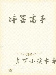 暗器高手