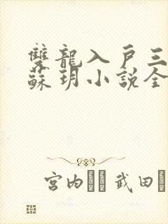 双龙入户三人行苏玥小说全文阅读