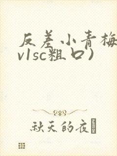 反差小青梅(1v1sc粗口)