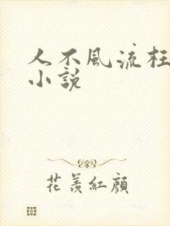 人不风流枉少年小说