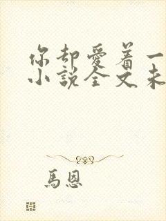 你却爱着一个他小说全文未删减免费