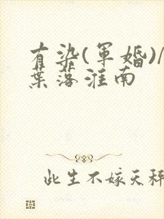 有染(军婚)/叶落淮南