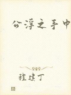 公浮之手中字5