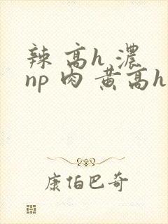 辣 高h 浓 np 肉 黄高h
