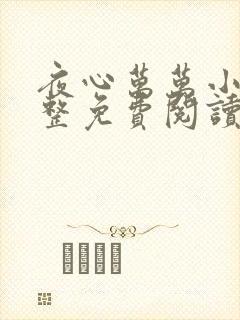 夜心万万小说完整免费阅读全文