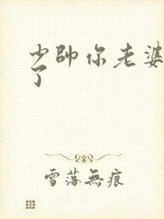 少帅你老婆又跑了