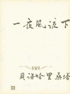 一夜风流下载