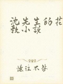 沈先生的花式管教小说