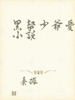 黑帮少爷爱上我小说