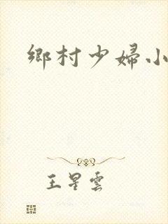 乡村少妇小说