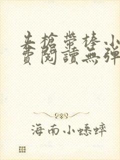 夹枪带棒小说免费阅读无弹窗笔趣