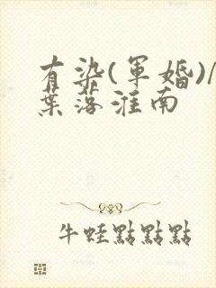 有染(军婚)/叶落淮南