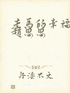 老马的幸福生活赵思思