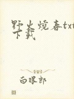 野火烧春txt下载