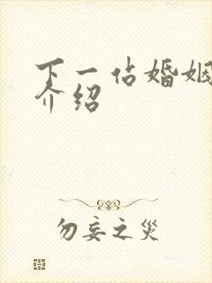 下一站婚姻剧情介绍