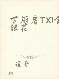 下厨房TXl金银花