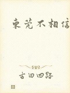 东莞不相信眼泪