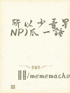 所以少看星辰(NP)爪一锤