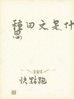 种田文是什么意思