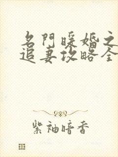 名门暖婚之权爷追妻攻略全文免费阅读