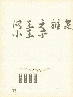 网王之谁是我的小王子
