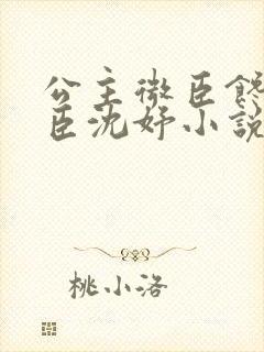 公主微臣馋了微臣沈妤小说