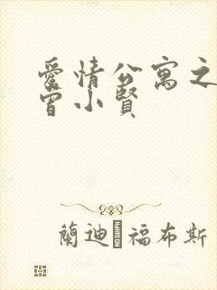 爱情公寓之极品曾小贤