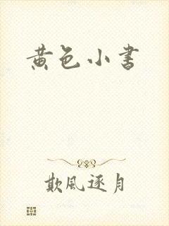 黄色小书