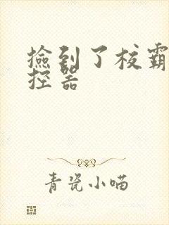 捡到了校霸的遥控器