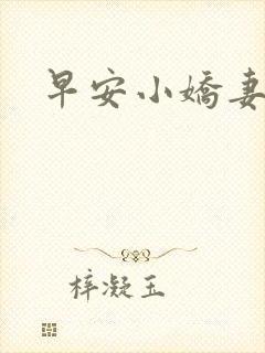 早安小娇妻