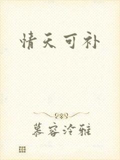 情天可补