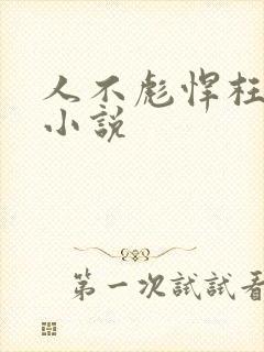 人不彪悍枉少年小说