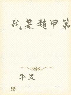 我是赵甲第小说