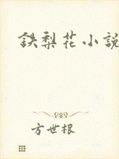 铁梨花小说