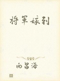 将军嫁到