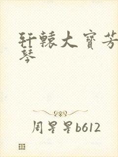 轩辕大宝芳菲雅琴