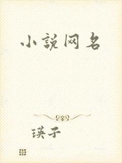 小说网名