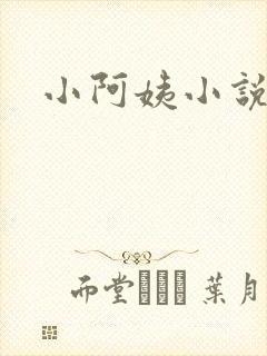 小阿姨小说