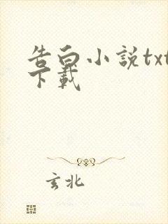 告白小说txt下载