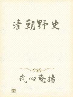 清朝野史